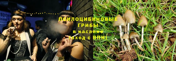 молекула духа Аркадак
