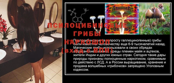 молекула духа Аркадак